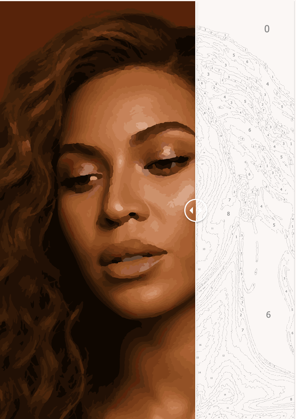 Framed Paint by Number